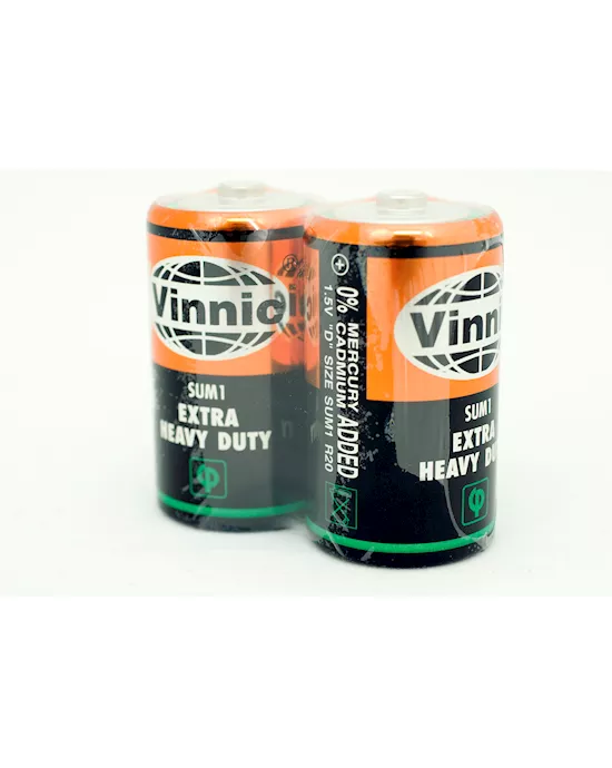 Vinnic Green  2 Pack Heavy Duty Batteries