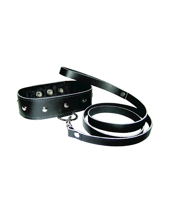 Leather Leash And Collar