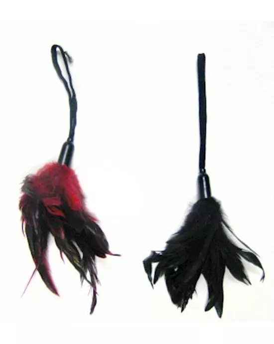 Pleasure Feather