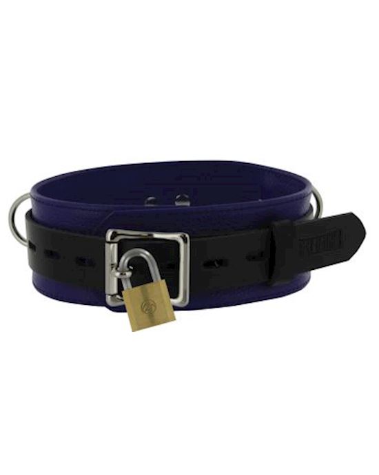 Strict Leather Deluxe Locking Collar  And