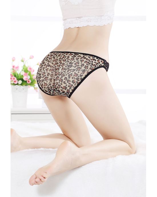 Brown Leopard Panties With Lace And Straps Detailed