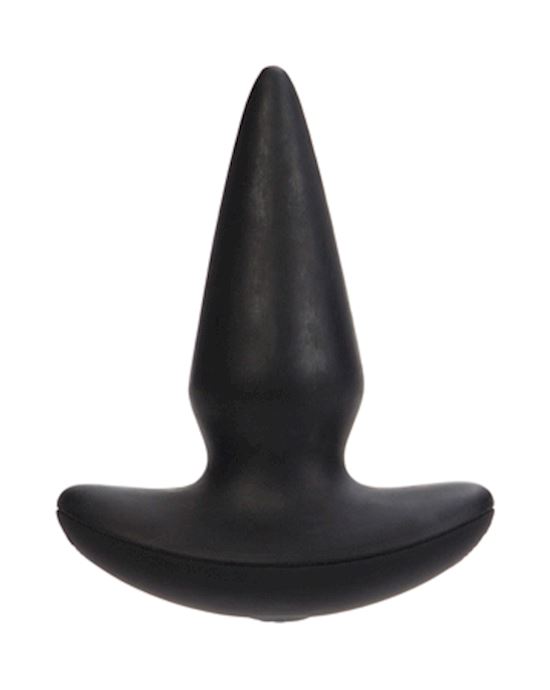 10 Function Risque Butt Plug