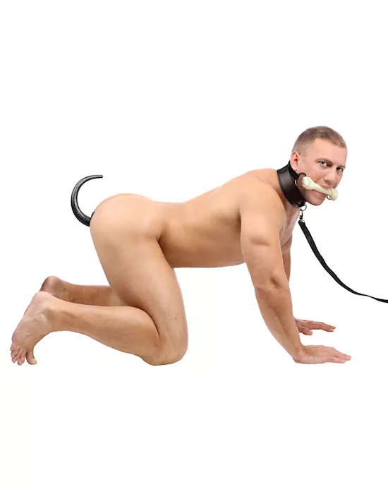 Intro to Puppy Play 3 Piece Starter Kit