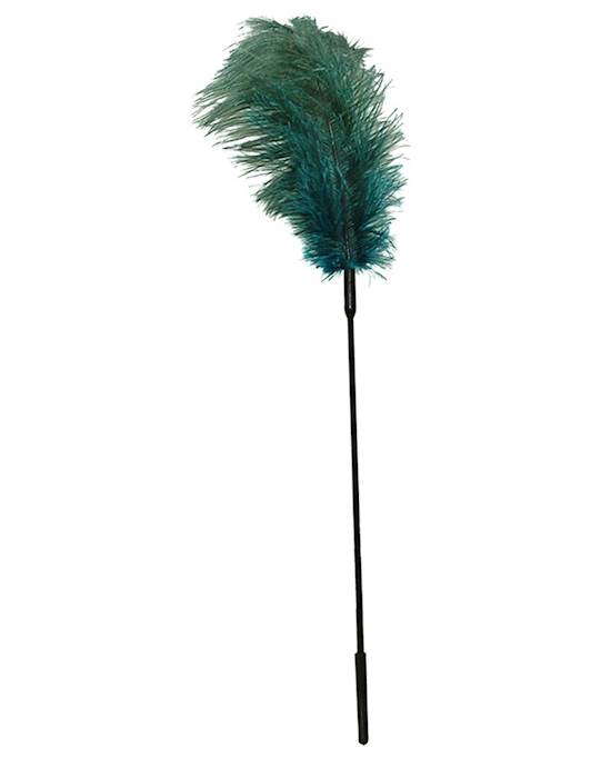 Turquoise Feather