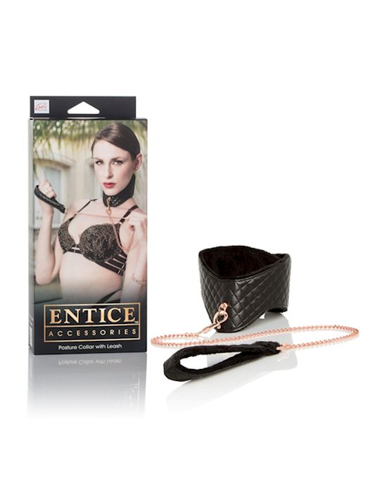 Entice Posture Collar With Leash