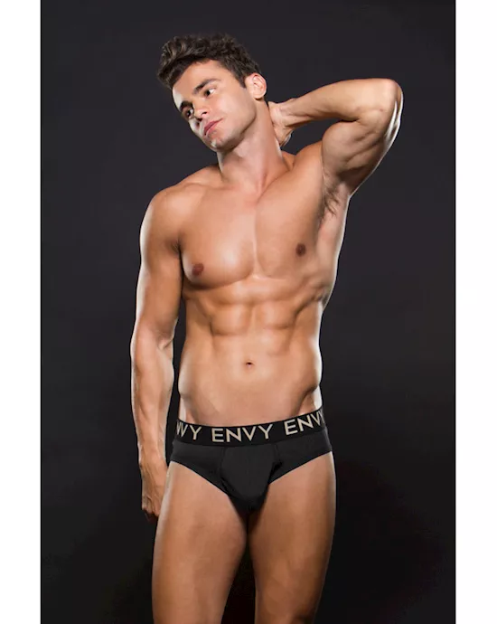 Envy Micro Lowrise Logo Elastic Brief S M