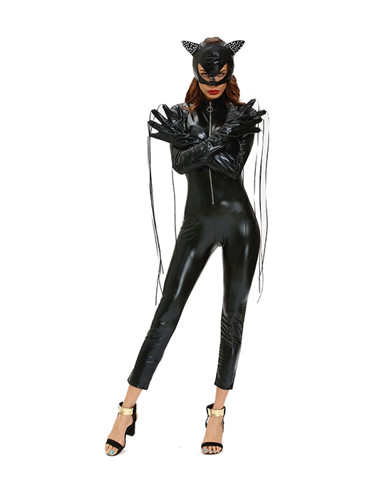 Fierce Catwoman Costume