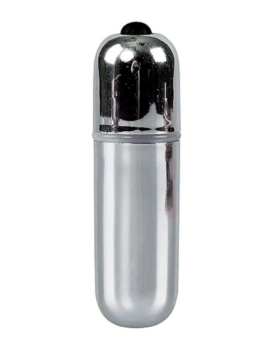10 Speed Bullet Vibrator Silver