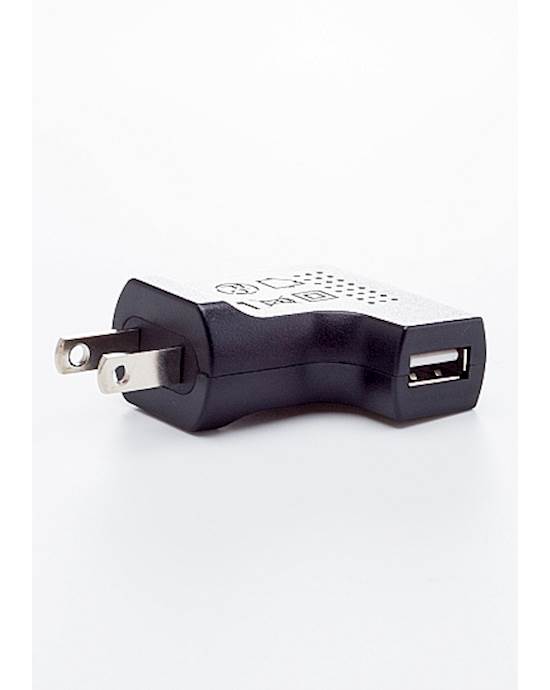 USB USA Charger