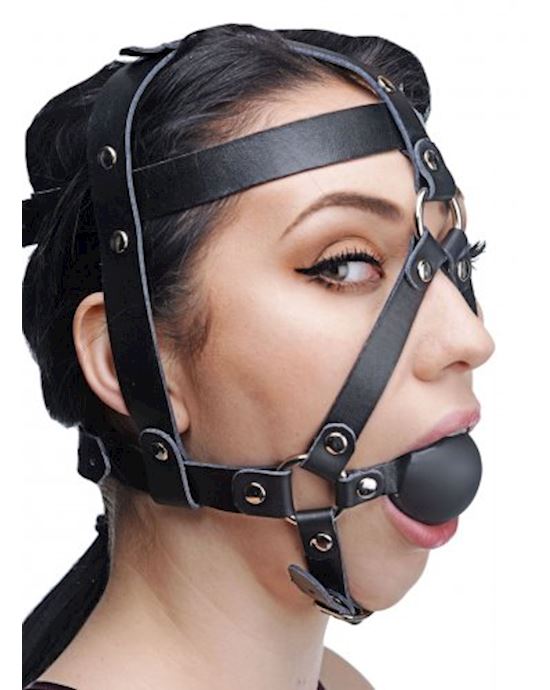 Leather Head Harness With Ball Gag