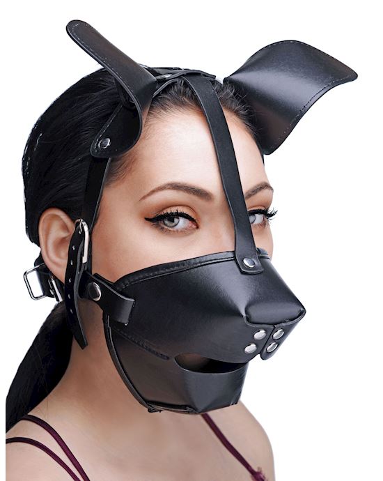 Pup Puppy Play Hood and Breathable Ball Gag