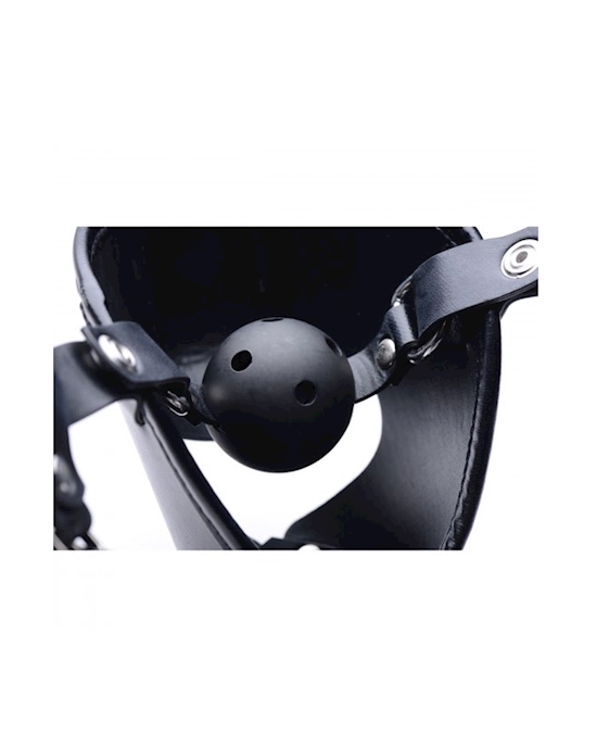 Pup Puppy Play Hood And Breathable Ball Gag