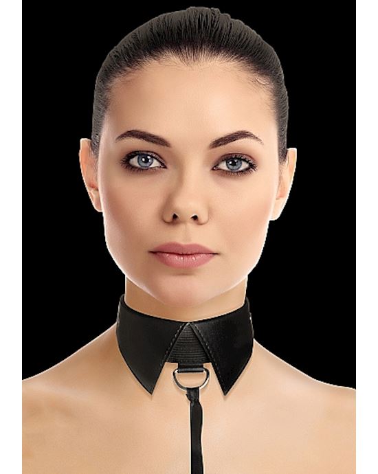 Classic Collar With Leash Black