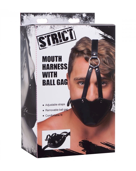 Strict Mouth Harness With Ball Gag
