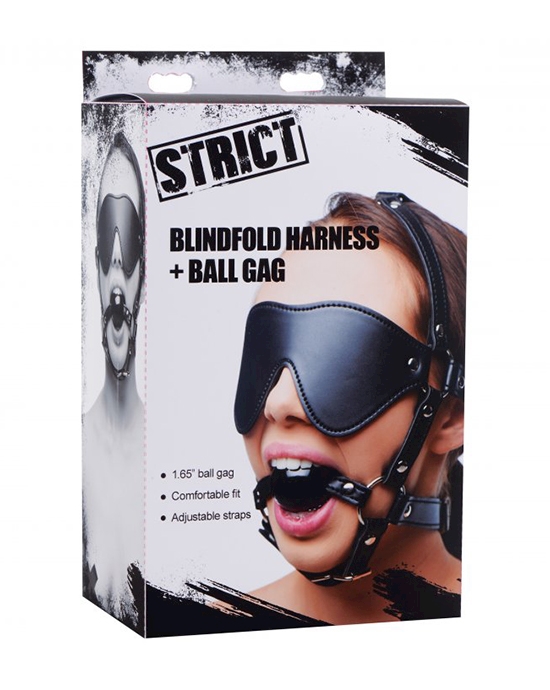 Strict Eye Mask Harness With Ball Gag