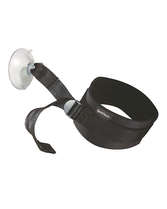 Sex In The Shower Suction Cup Collar