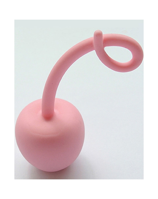 Silicone Curly Tail Butt Plug