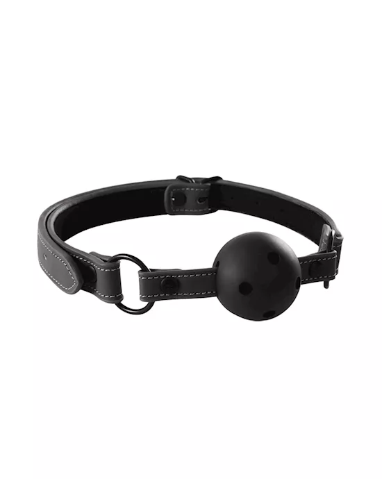 Renegade Bondage Ball Gag