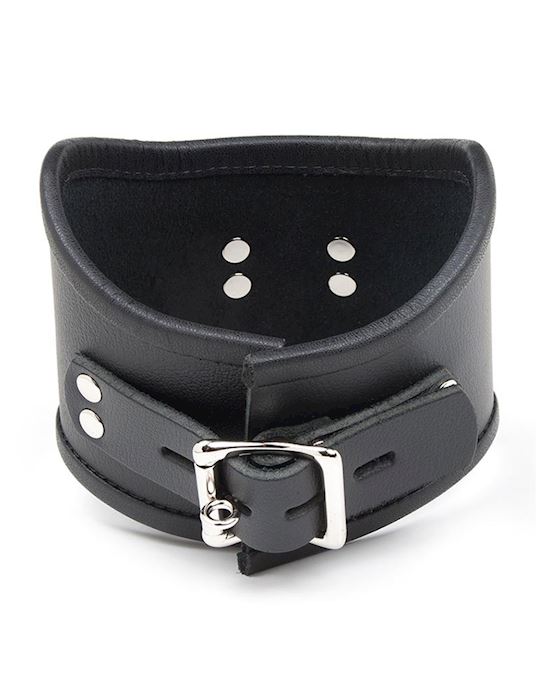 Tall Curved Posture Collar