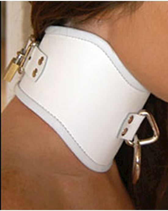 Tall Curved Posture Collar With Locking Buckle