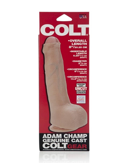 Colt Adam Champ Cock