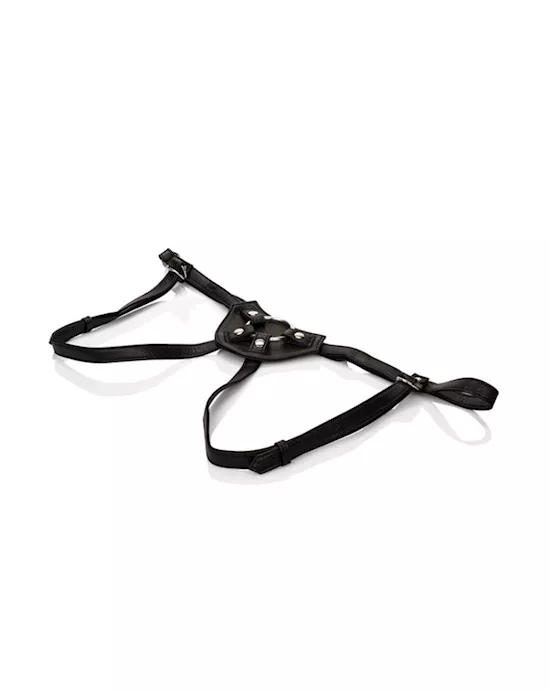 Her Royal Harness The Countess