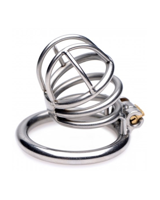 The Pen Deluxe Locking Chastity Cage