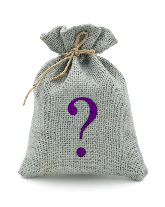 Mystery Bag  Dildo