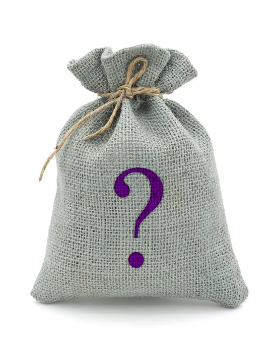 Mystery Bag  Mens Masturbators