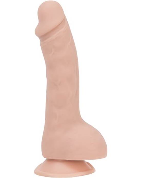 Brad 7.5 Inch Suction Cup Dildo With Balls