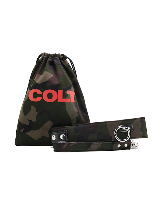 Colt  Collar & Leash