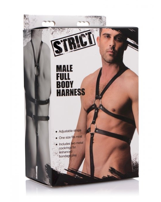 Male Full Body Harness