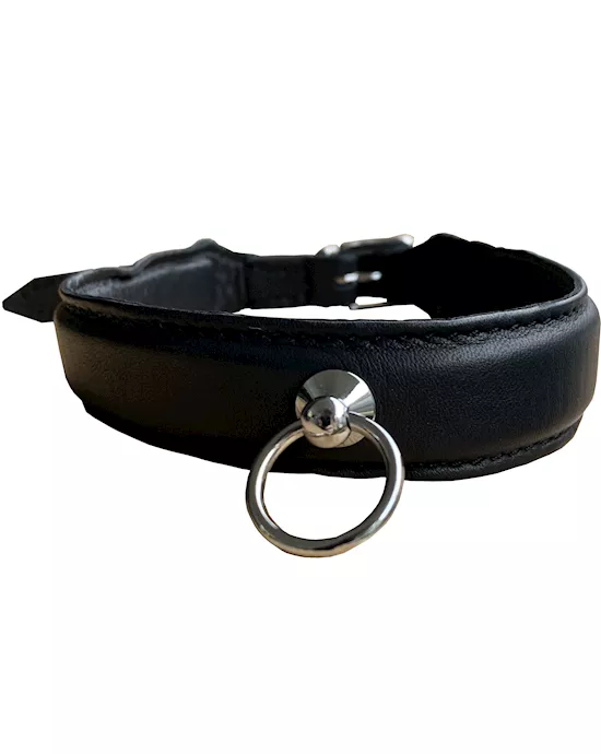Bound X Cushioned Leather Collar with O Ring