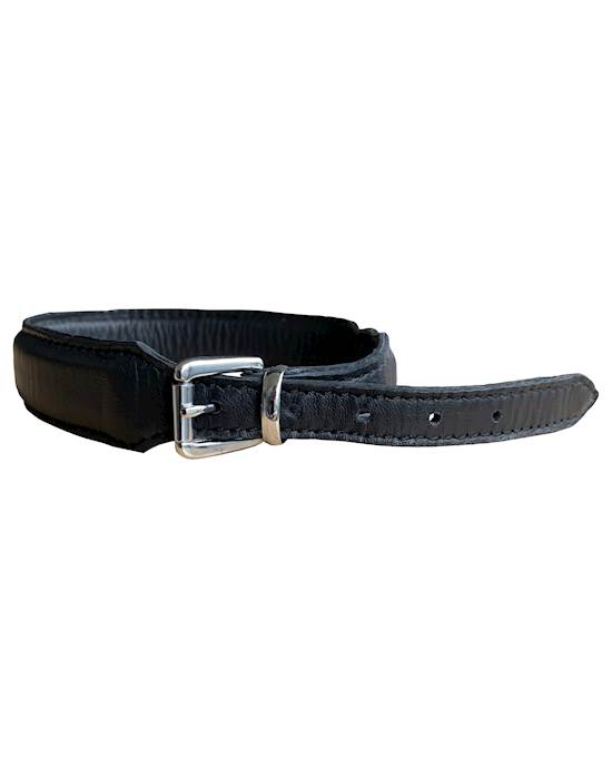 Bound X Cushioned Leather Collar With O Ring