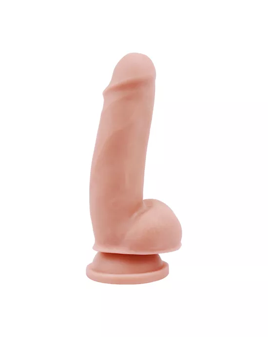 Lecher  71 Inch
