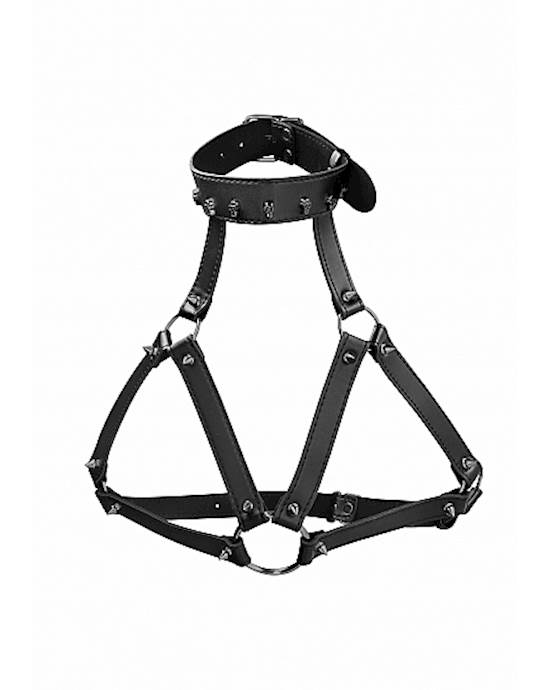 Ouch! Skulls And Bones - Harness With Skulls & Spikes 