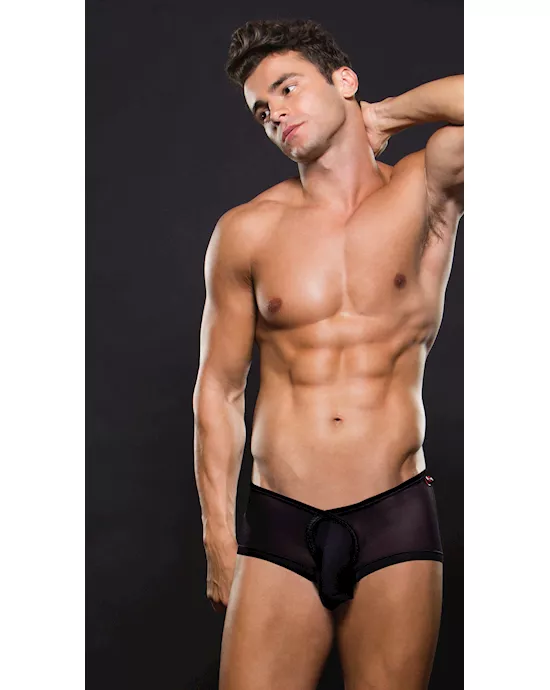 Envy Mesh Trunk