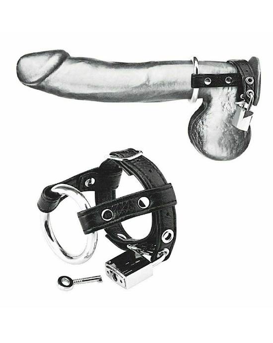Duo Cock And Ball Lock