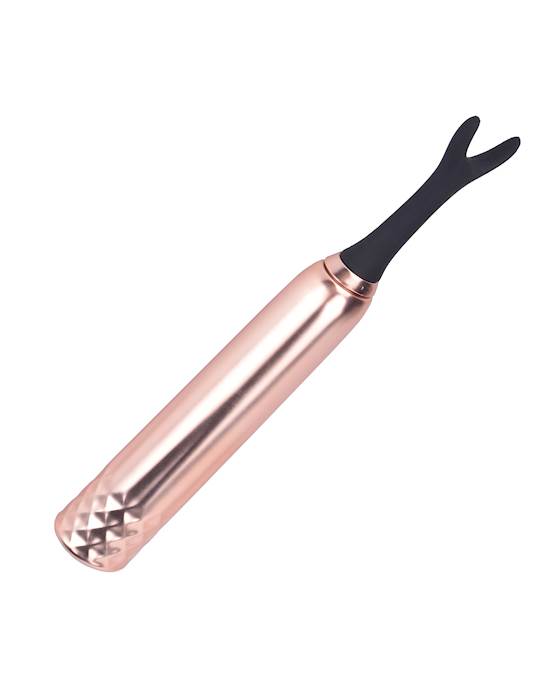 Vibrator With Interchangeable Heads 