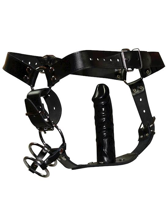 Plug Harness With Cock Rings