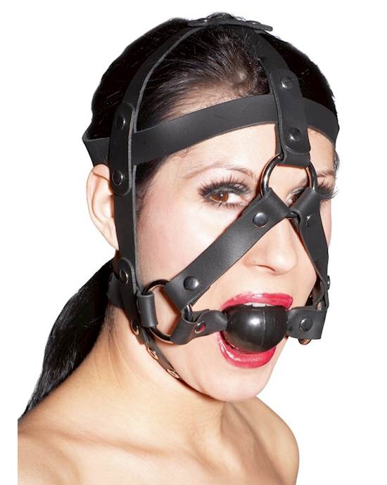 Leather Head Harness And Gag