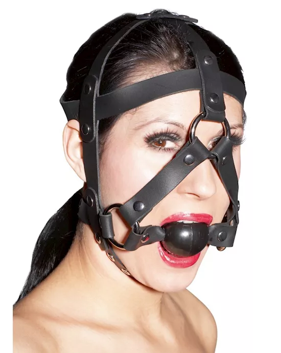 Leather Head Harness and Gag