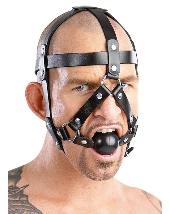 Leather Head Harness And Gag