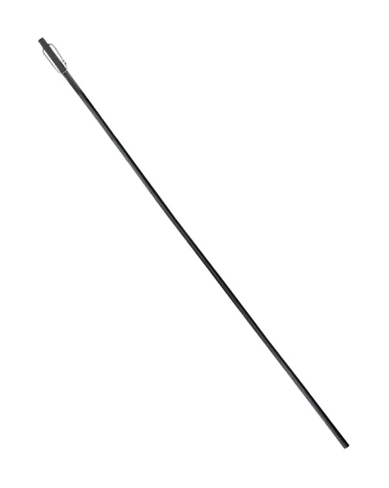 Fetish Collection Cane