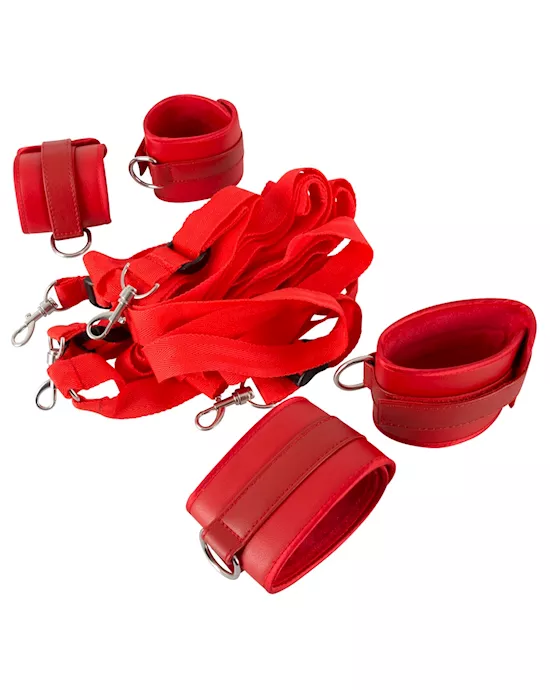 Bed Restraint Kit