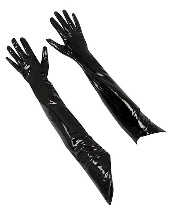 Vinyl Gloves 