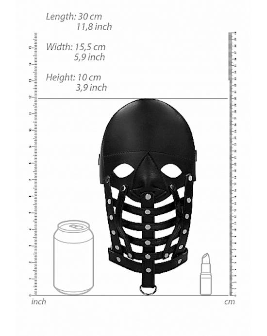 Leather Male Mask- Black