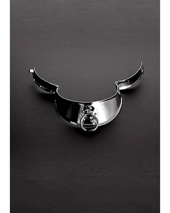 Locking Men's Collar With Ring 13.5 Inches