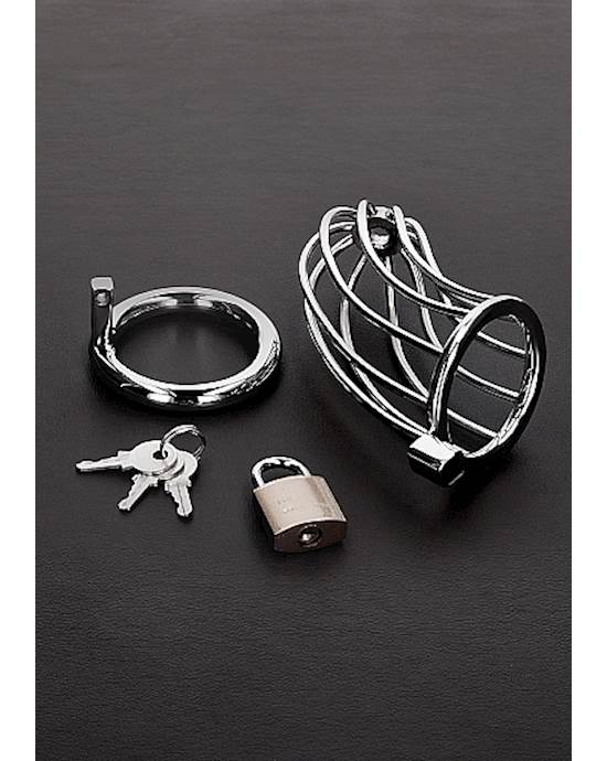 Bird Cage Chastity Device 