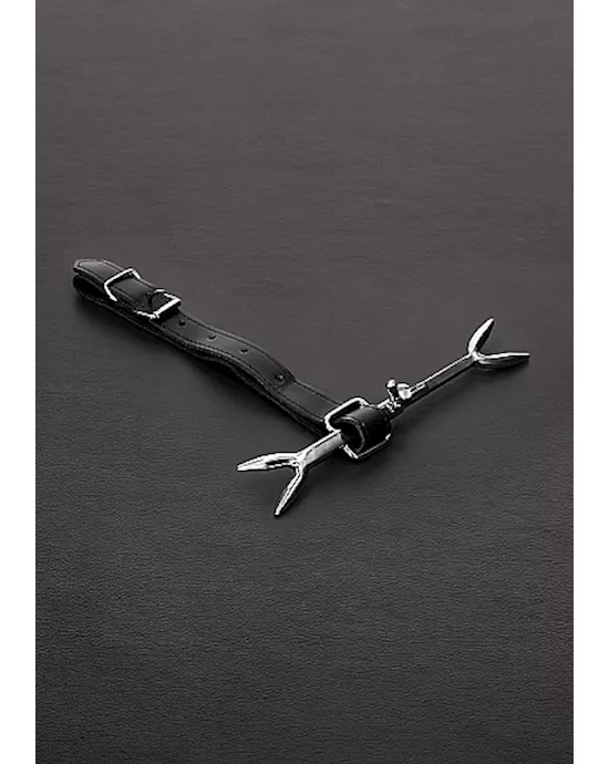 The Heretic's Fork
